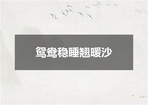 鸳鸯稳睡翘暖沙