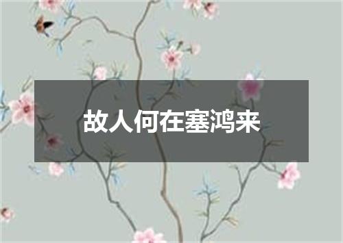 故人何在塞鸿来