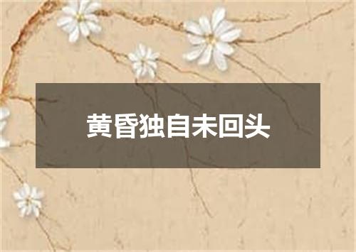 黄昏独自未回头