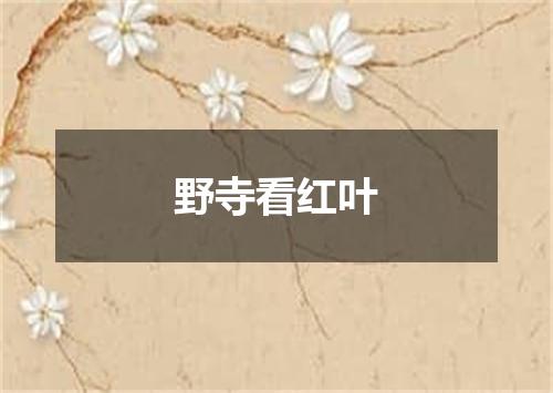 野寺看红叶