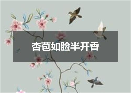 杏苞如脸半开香