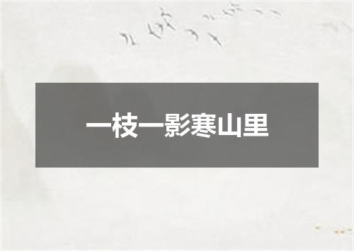 一枝一影寒山里