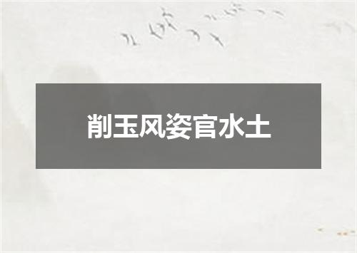 削玉风姿官水土