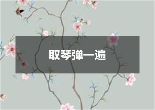 取琴弹一遍