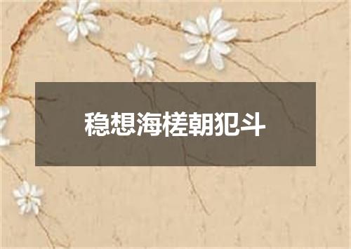 稳想海槎朝犯斗