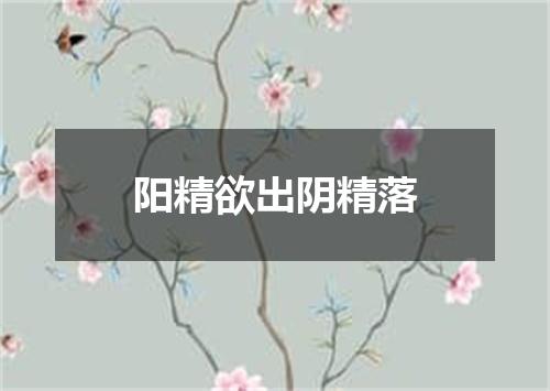 阳精欲出阴精落