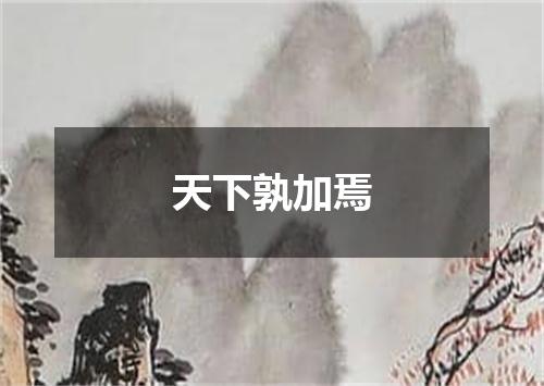 天下孰加焉