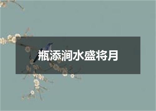 瓶添涧水盛将月