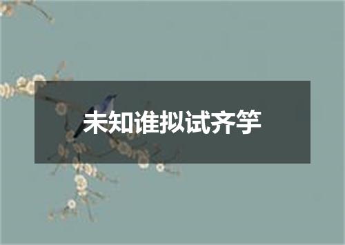 未知谁拟试齐竽