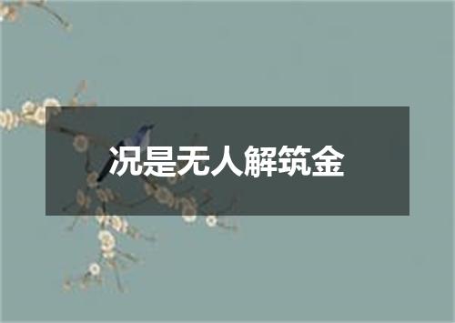 况是无人解筑金
