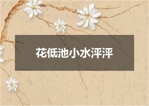 花低池小水泙泙