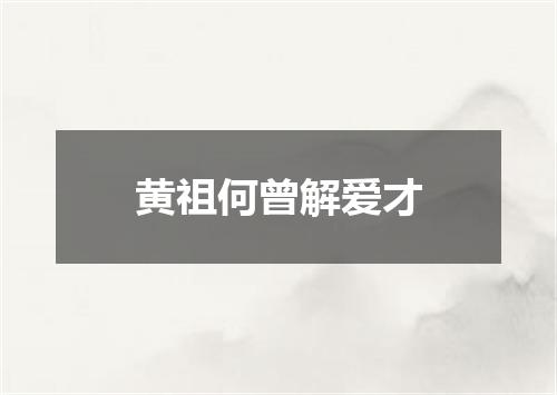 黄祖何曾解爱才