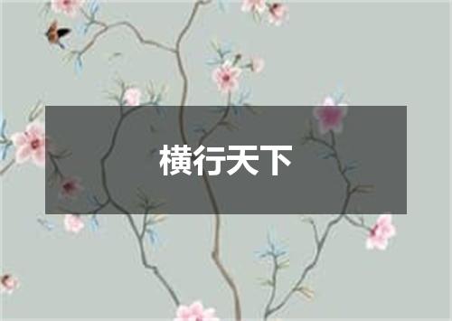 横行天下
