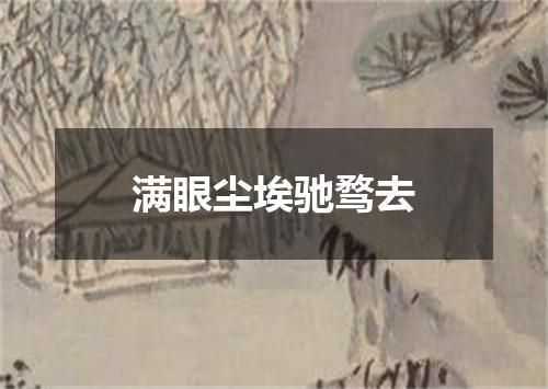 满眼尘埃驰骛去