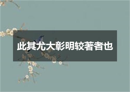 此其尤大彰明较著者也