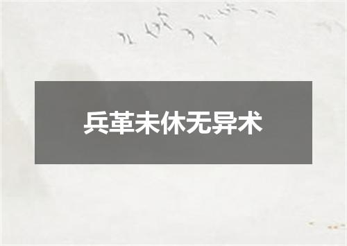 兵革未休无异术