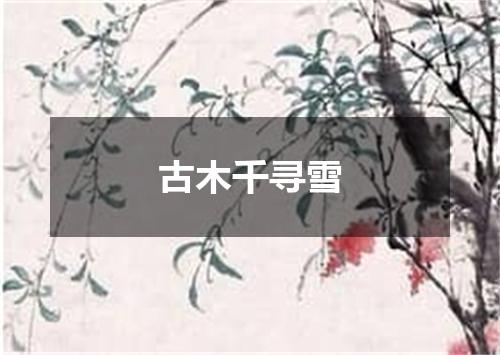 古木千寻雪