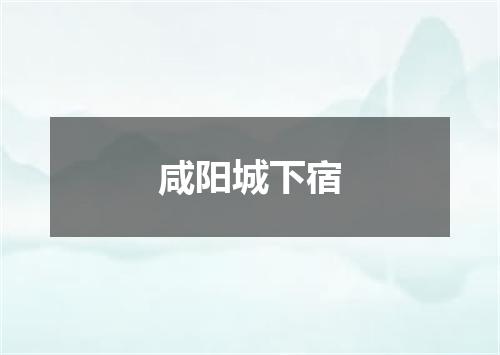 咸阳城下宿