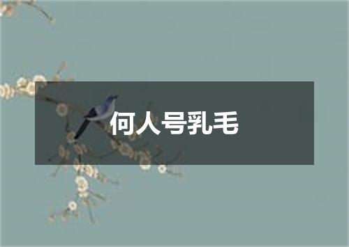 何人号乳毛