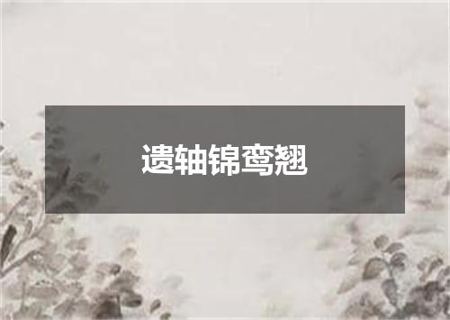 遗轴锦鸾翘