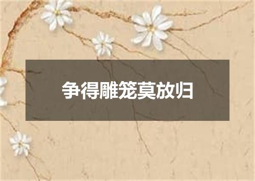 争得雕笼莫放归
