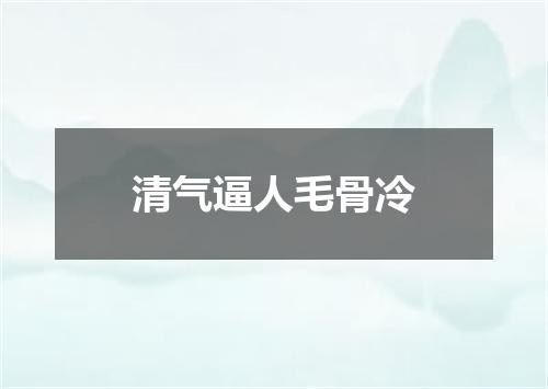 清气逼人毛骨冷