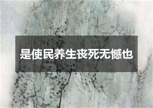 是使民养生丧死无憾也