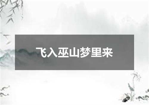 飞入巫山梦里来