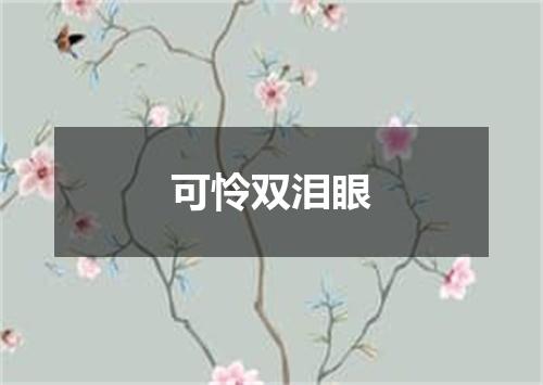 可怜双泪眼