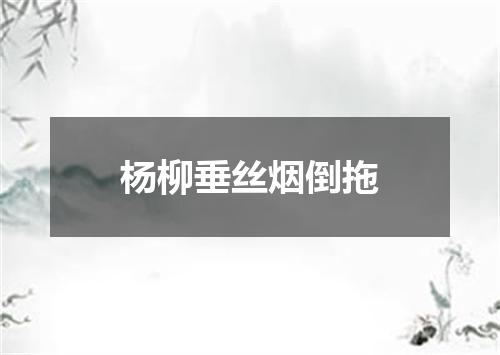 杨柳垂丝烟倒拖