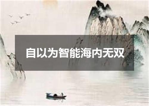 自以为智能海内无双