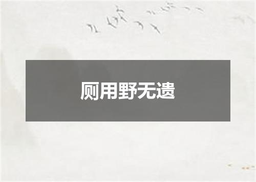 厕用野无遗