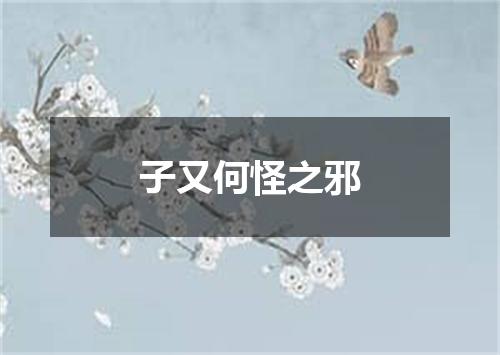子又何怪之邪