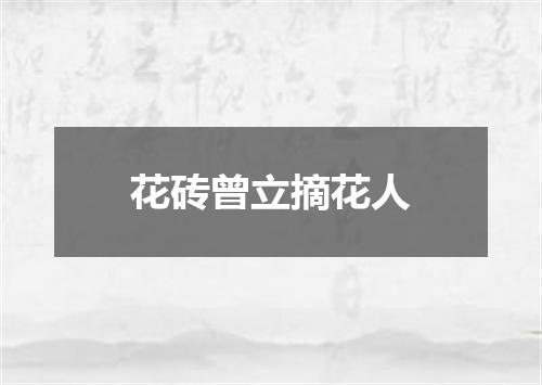 花砖曾立摘花人