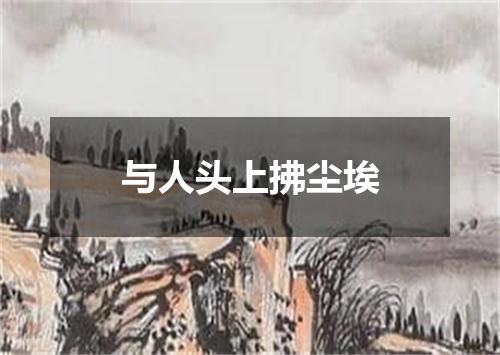 与人头上拂尘埃