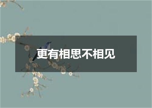 更有相思不相见