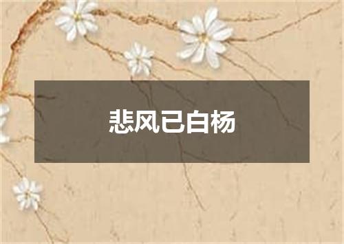 悲风已白杨