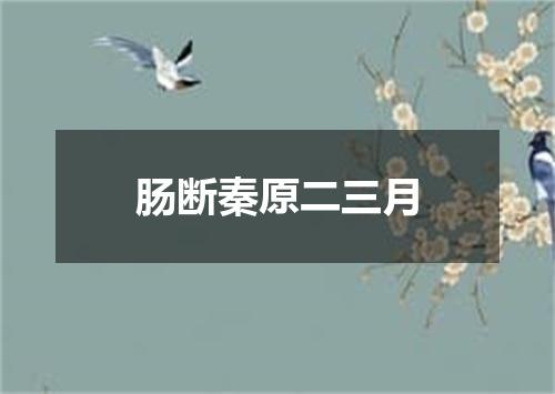 肠断秦原二三月