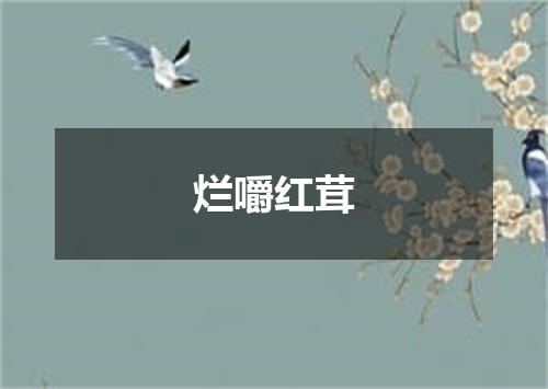 烂嚼红茸