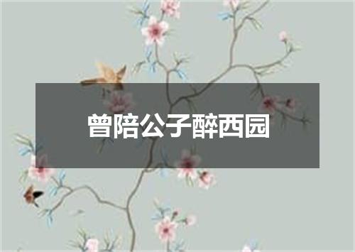 曾陪公子醉西园