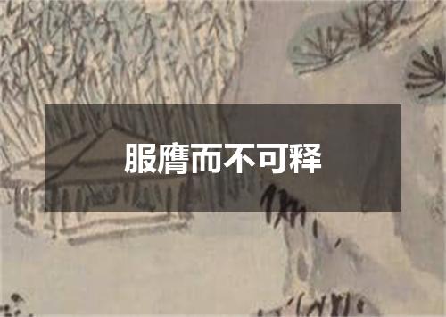 服膺而不可释