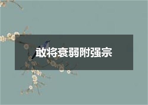 敢将衰弱附强宗