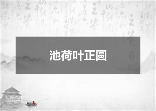池荷叶正圆