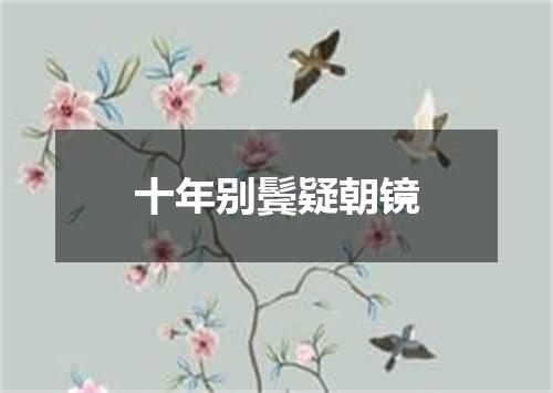十年别鬓疑朝镜