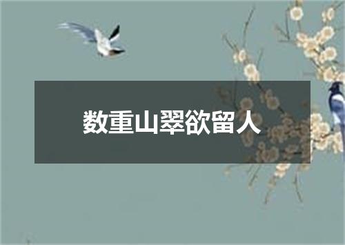 数重山翠欲留人