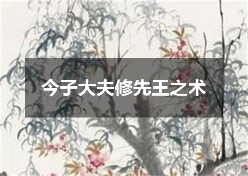 今子大夫修先王之术