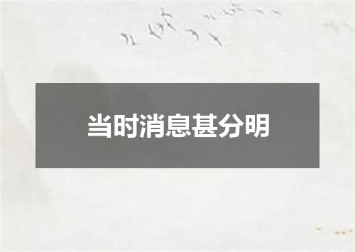 当时消息甚分明