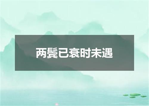 两鬓已衰时未遇