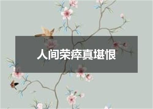 人间荣瘁真堪恨
