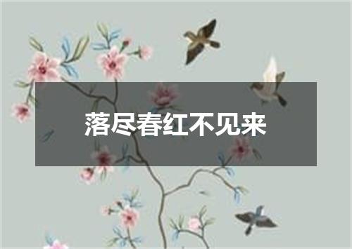 落尽春红不见来
